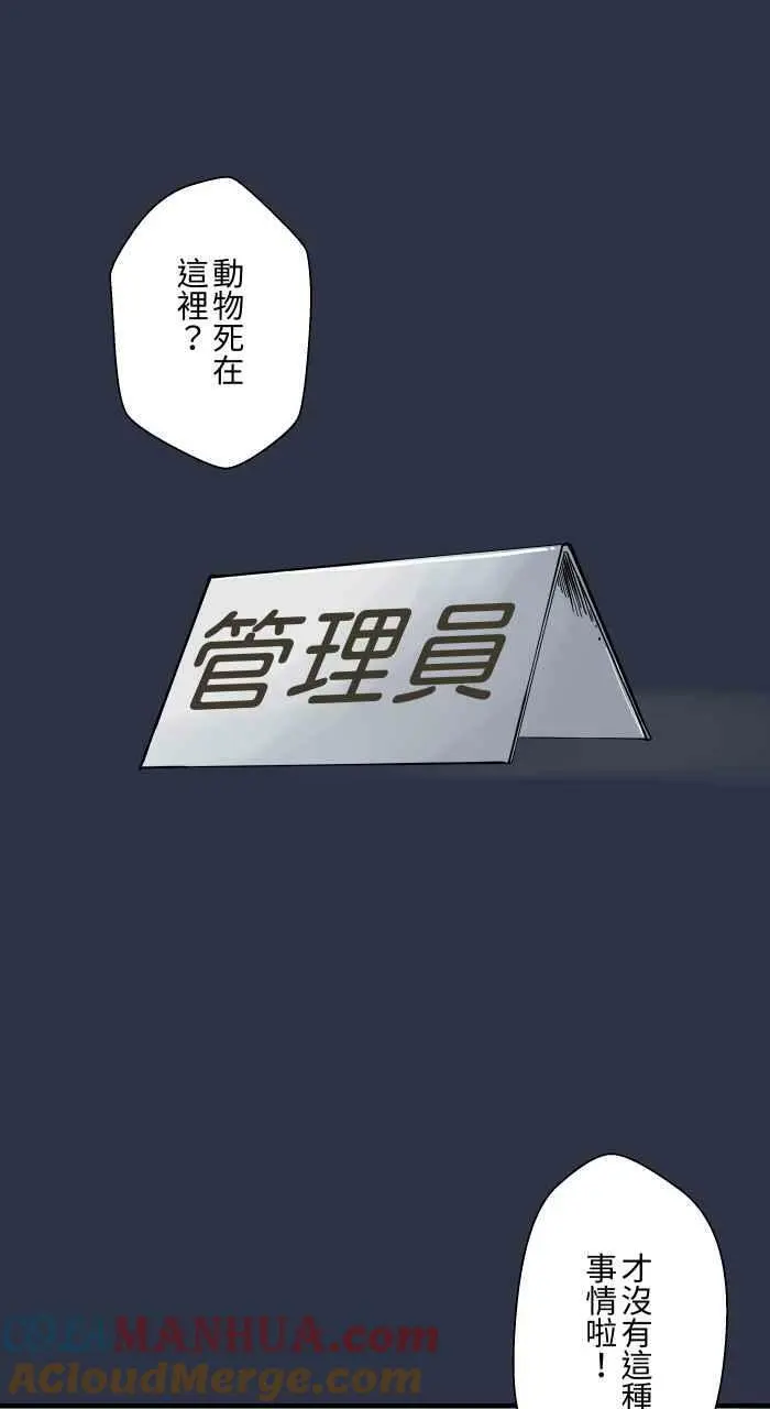 [第875话] 企鹅 第13页