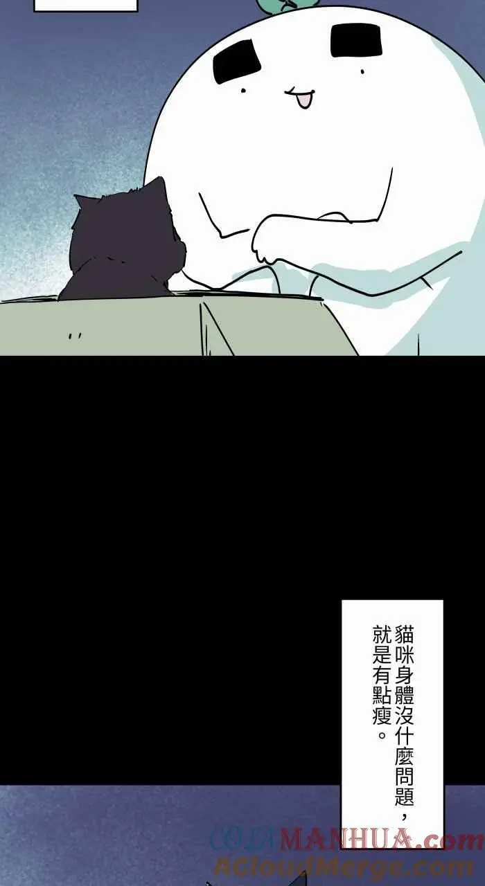 [第863话] 很瘦的猫 第3页