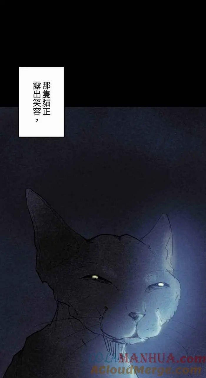 [第863话] 很瘦的猫 第11页