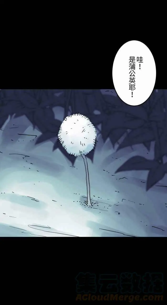 [第812话] 蒲公英 第4页