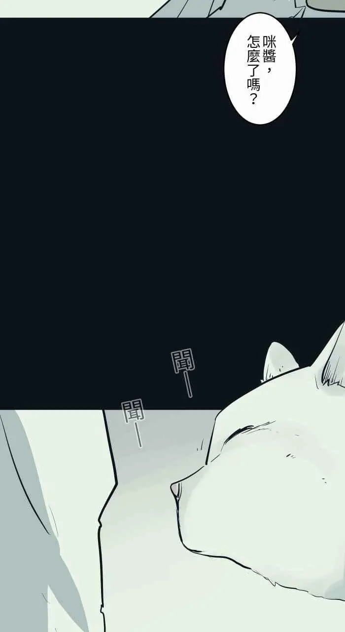 [第789话] 猫咪的举动 第4页