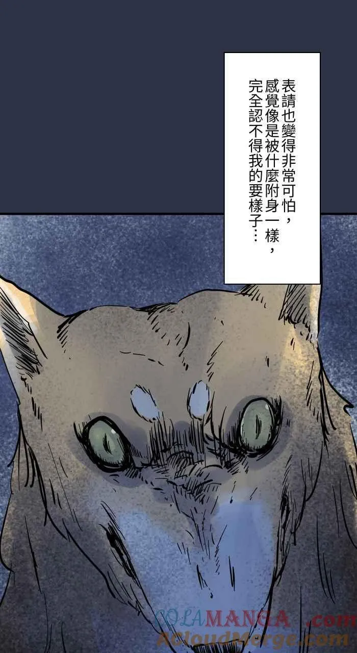 [第953话] 被附身的狗 第13页
