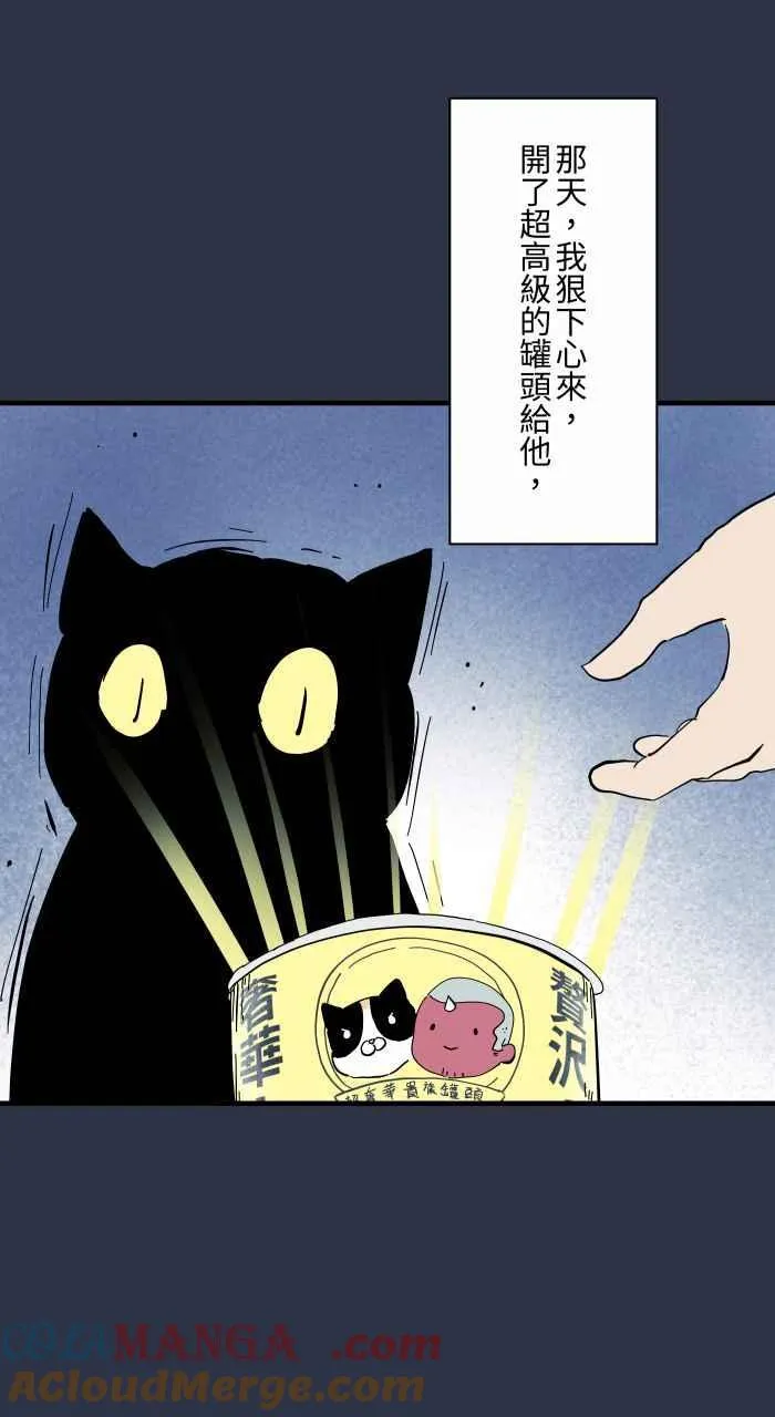 [第960话] 猫的报恩 第17页