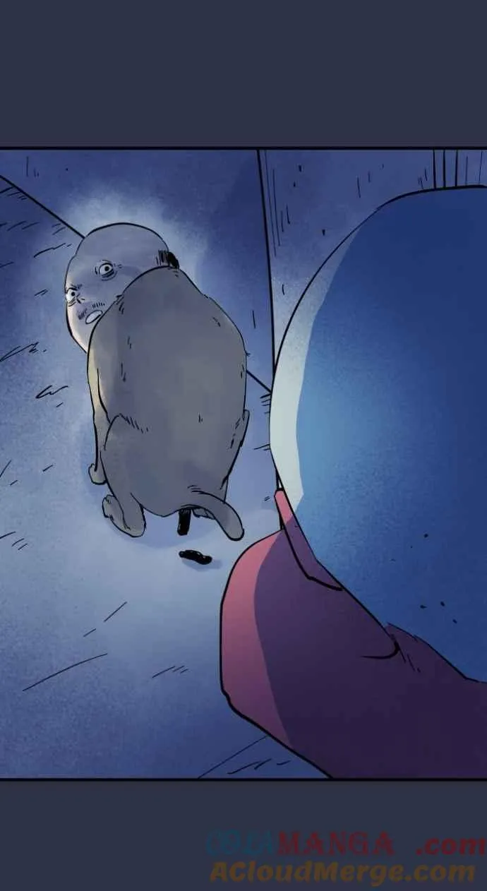 [第981话] 人面犬 第13页