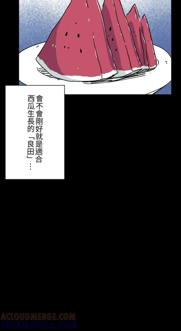 [第1053话] 西瓜 第43页