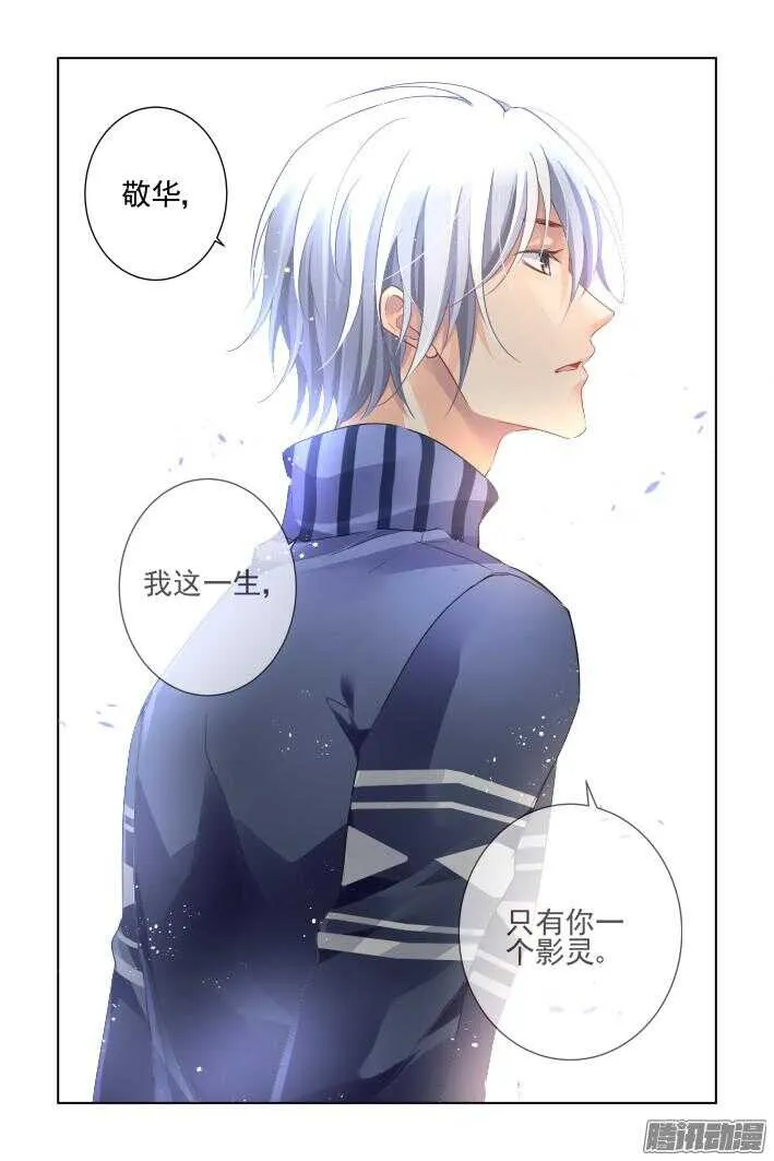 254：尾声·关于杨敬华 第13页