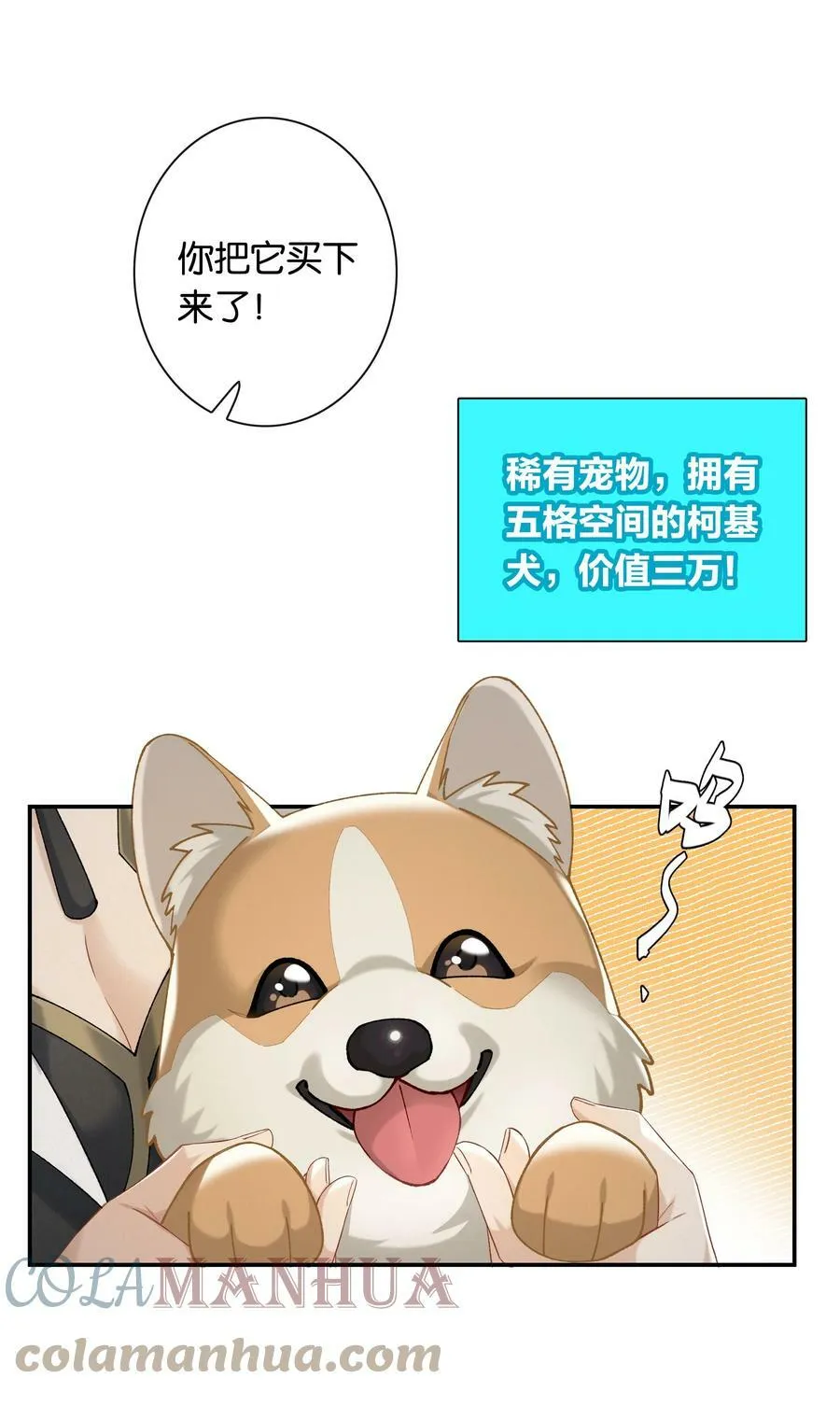 第049话 宠物开开 第11页