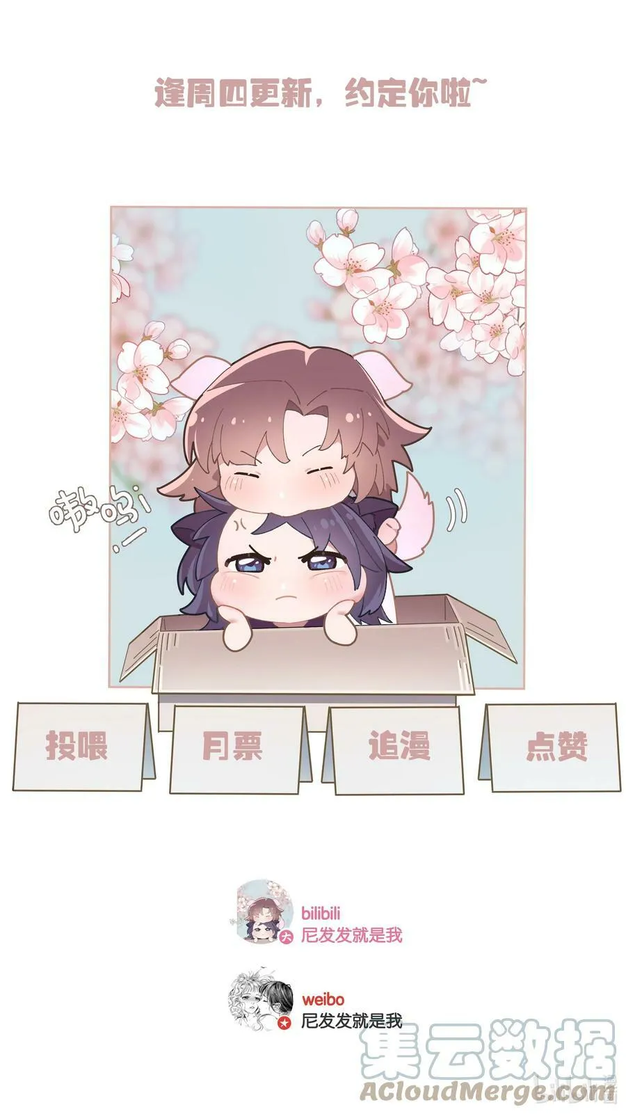 第050话 完美蜜月 第41页