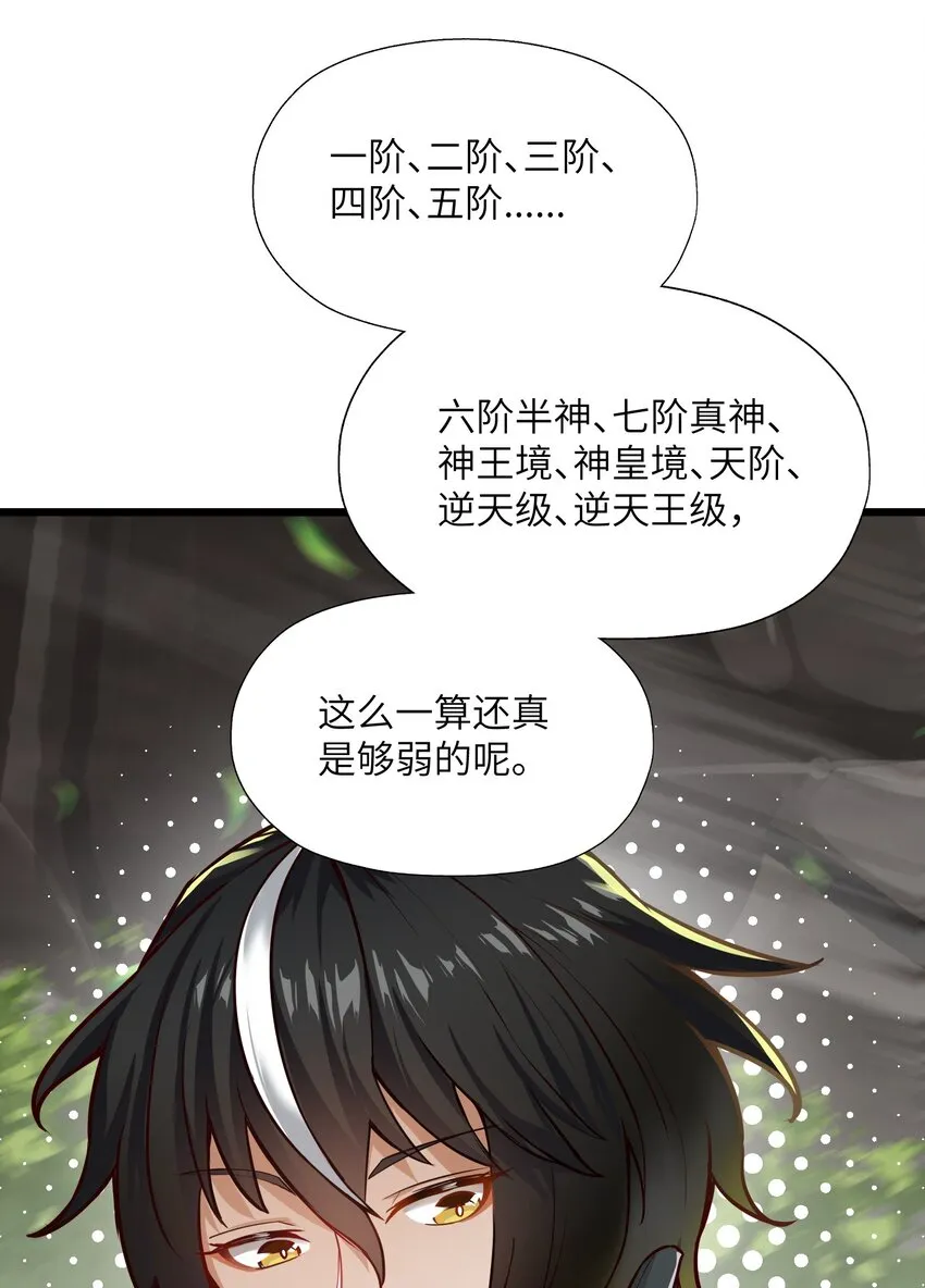 1 穿越成天道！ 第52页