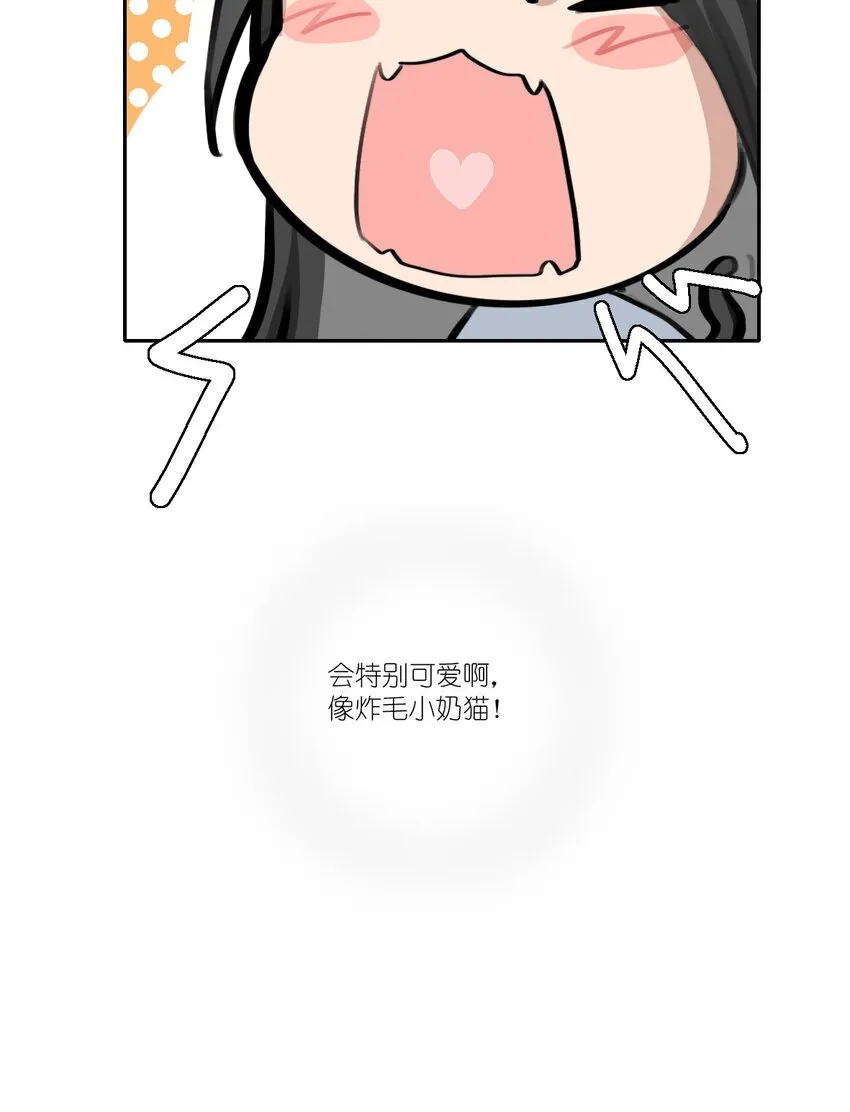 07 炸毛小奶猫，特别可爱啊。 第15页