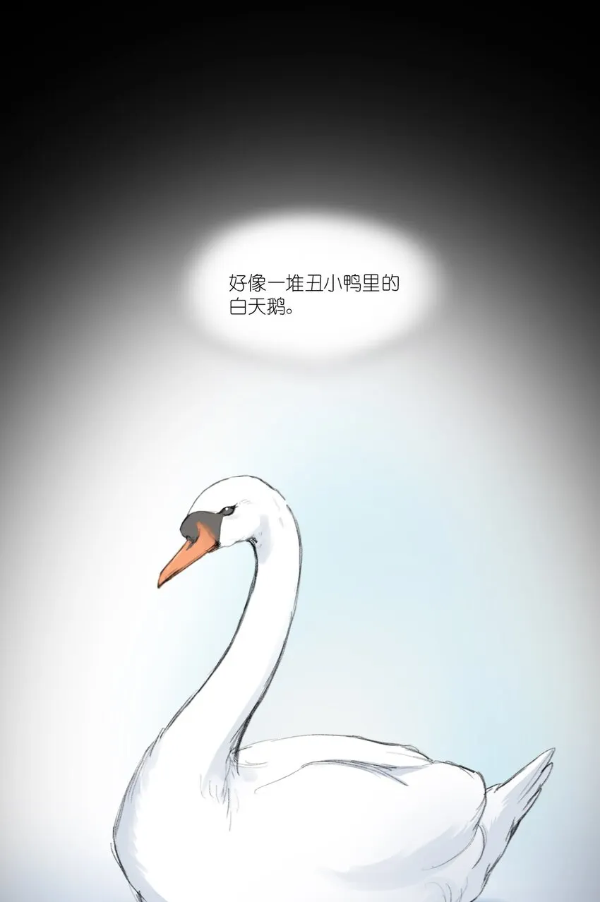 09 这只熊猫，送给你！ 第11页