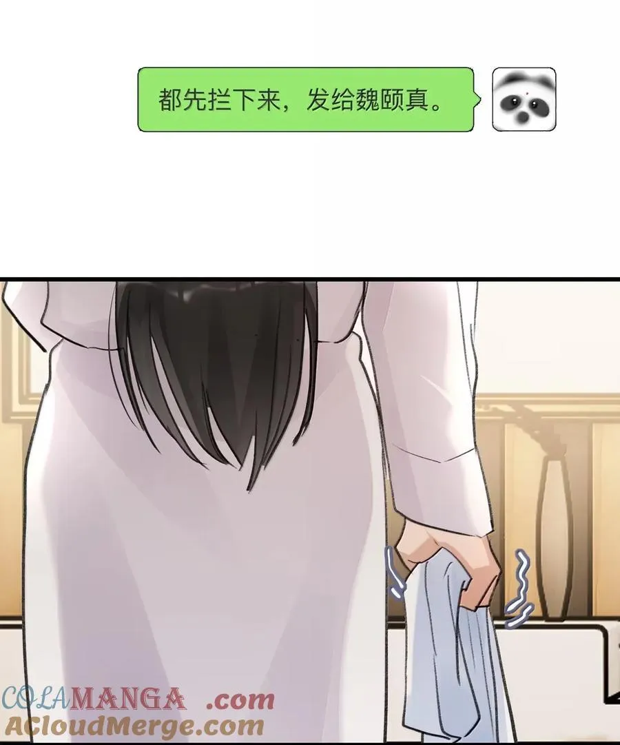 137 照片 第13页