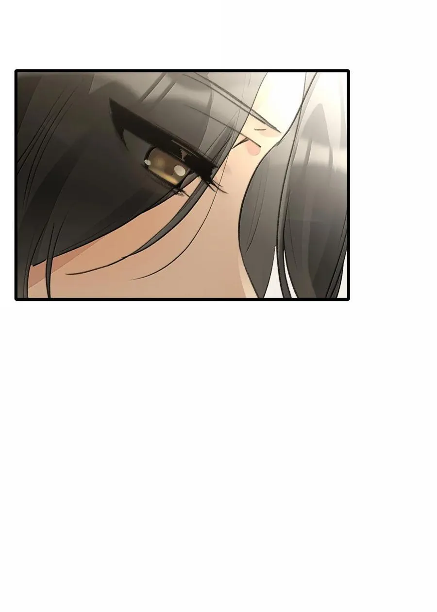 137 照片 第16页