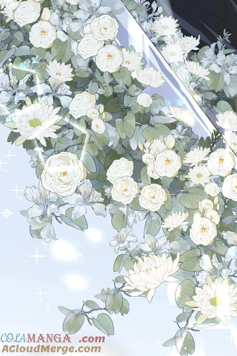 146 forgive 第21页