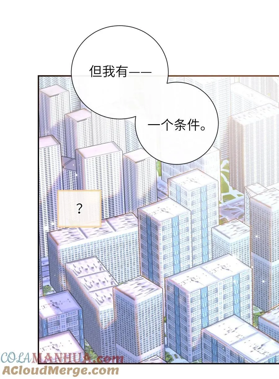 061 我有个条件 第29页