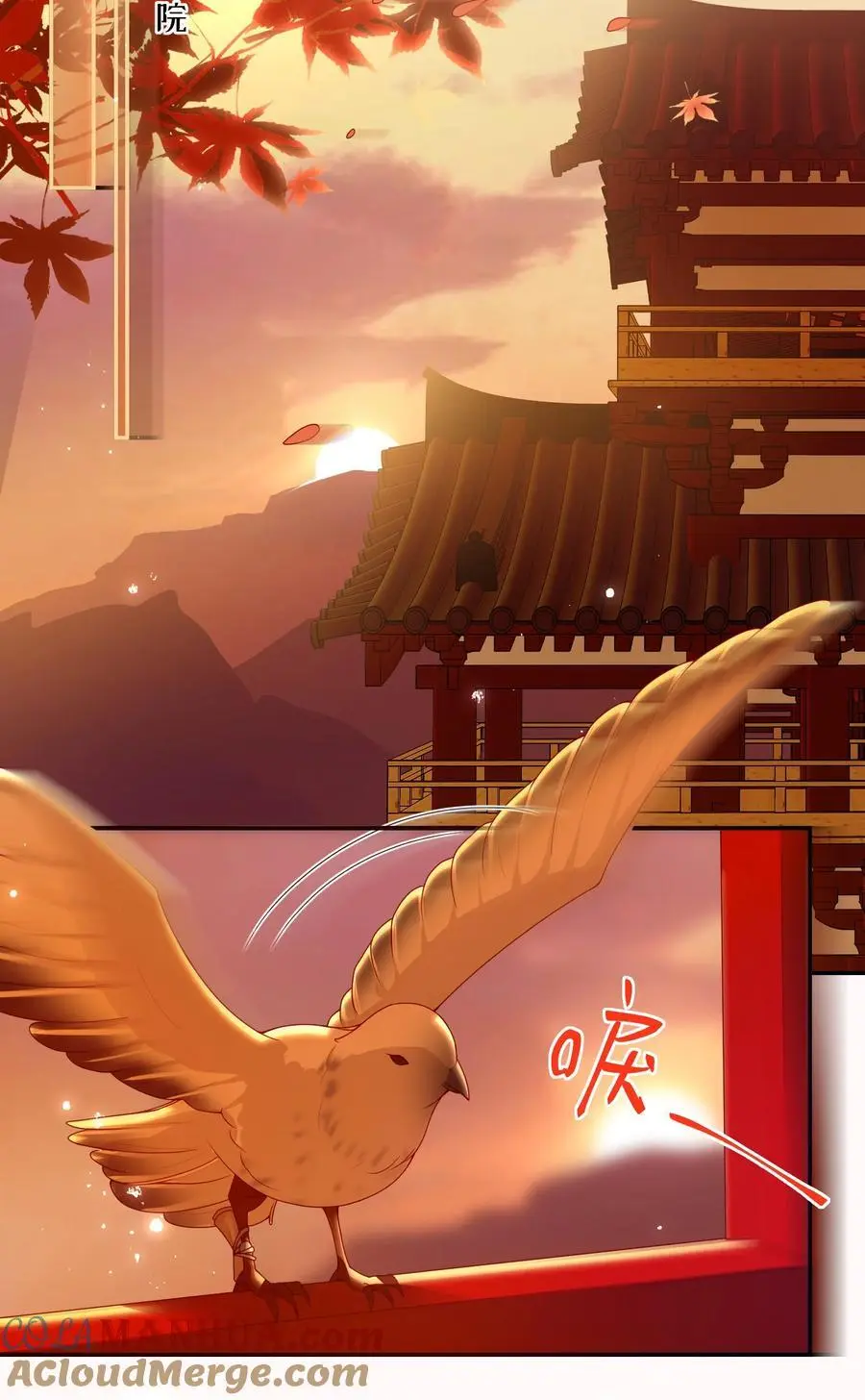 074 计划开始 第15页