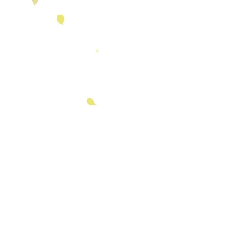 93 疤痕与大家 第57页