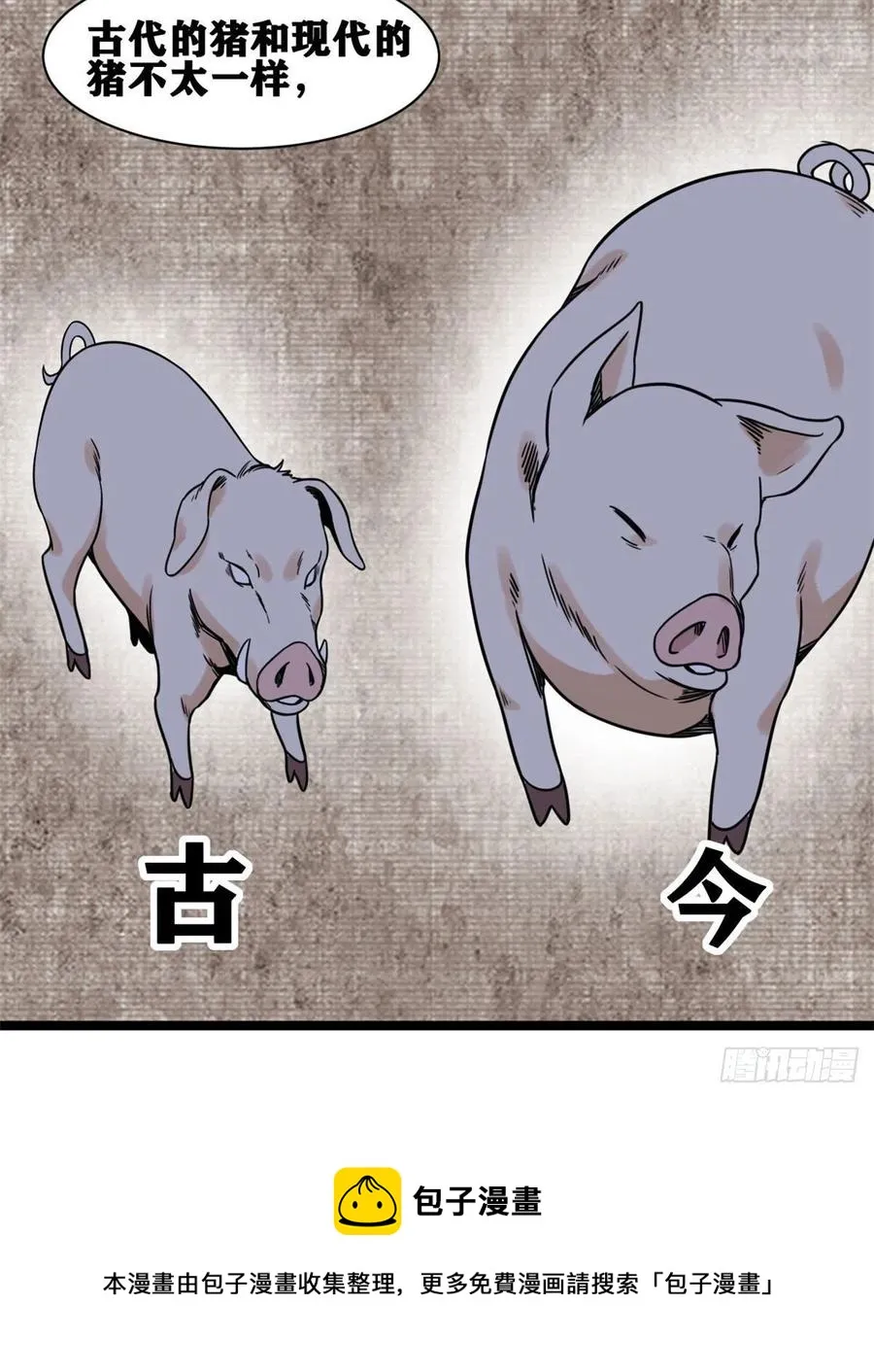 135 改良猪肉品质 第17页