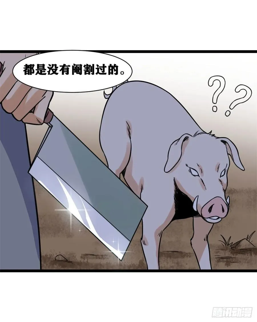 135 改良猪肉品质 第18页