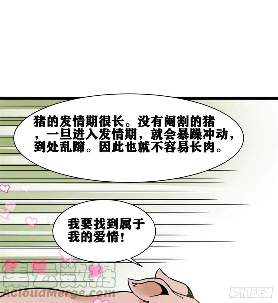 135 改良猪肉品质 第19页