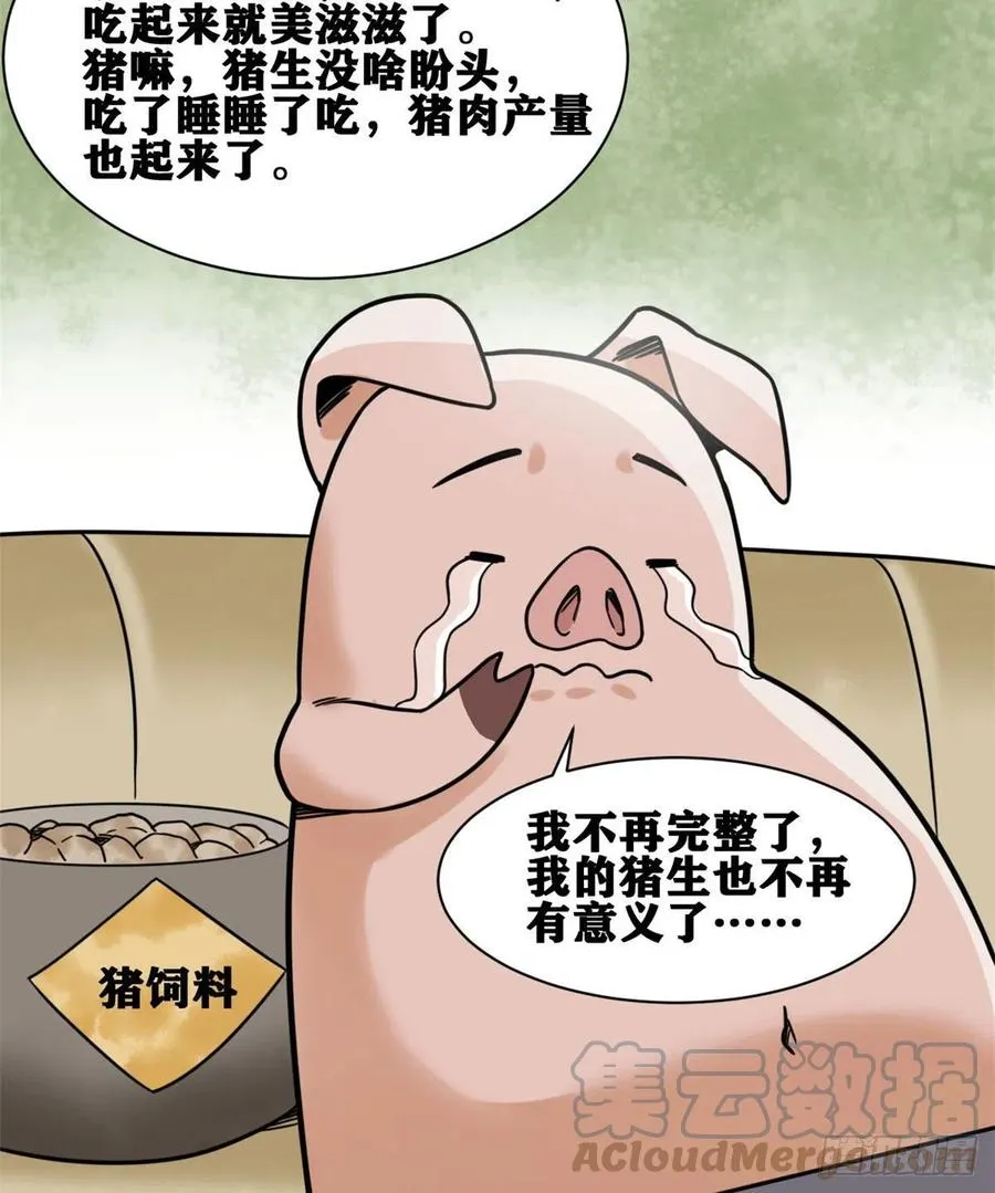135 改良猪肉品质 第22页