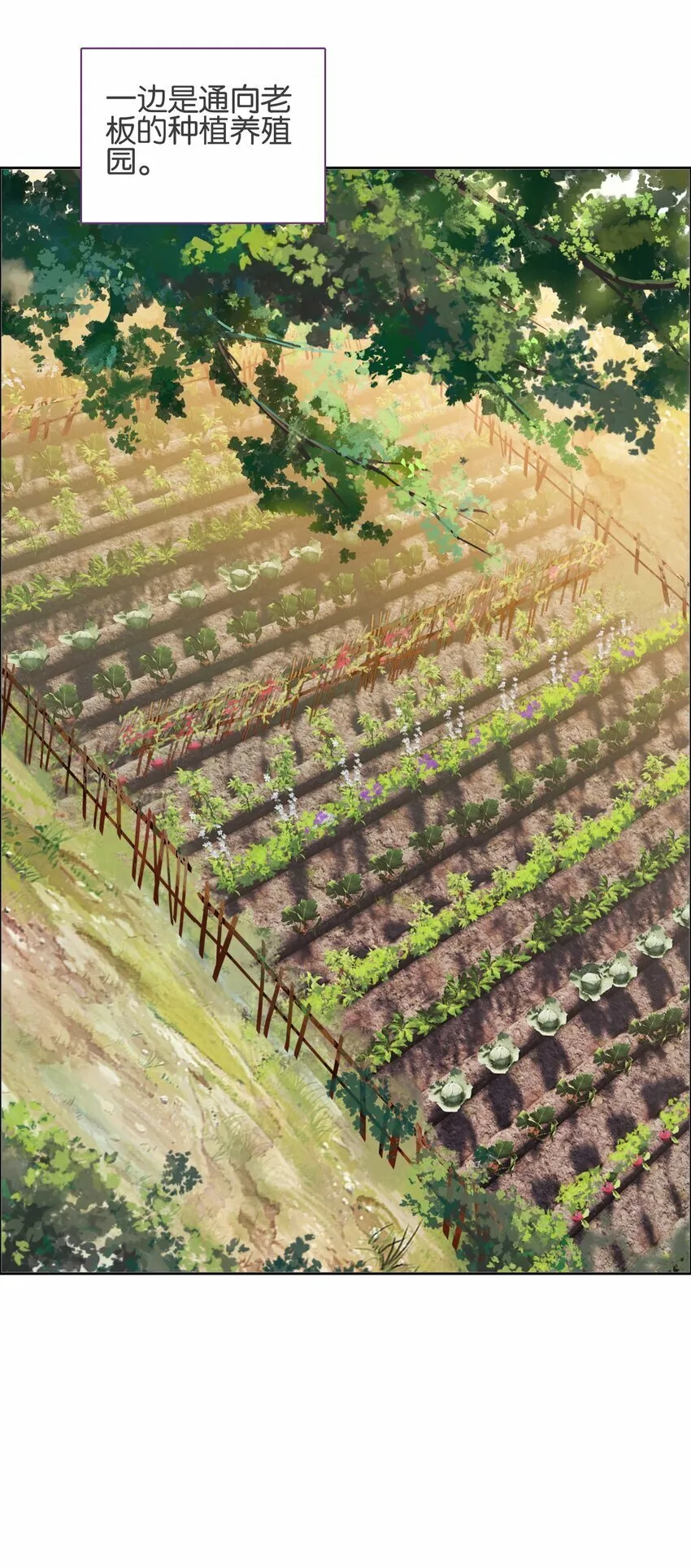 040.5 番外——小心翼翼姬某人 第12页