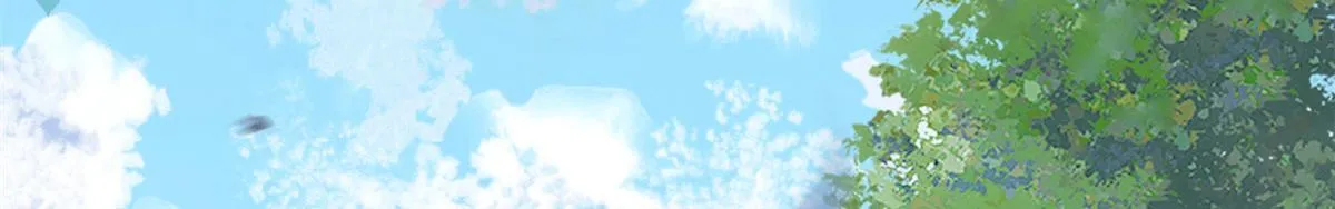 17 有种solo！ 第28页