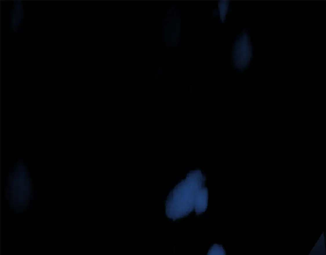 172 坦诚 第5页