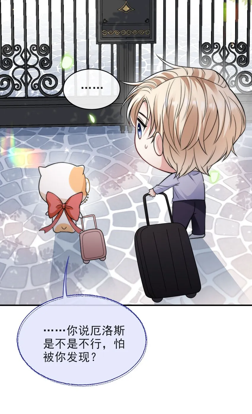 006 大婚 第11页