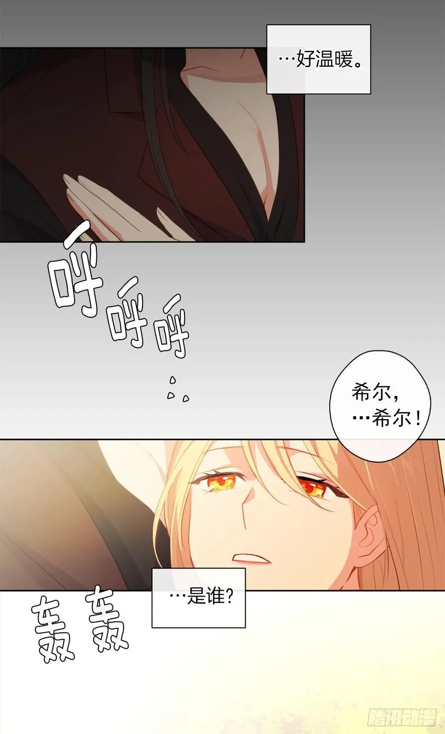 38.怎么能拿圣下当诱饵？ 第11页