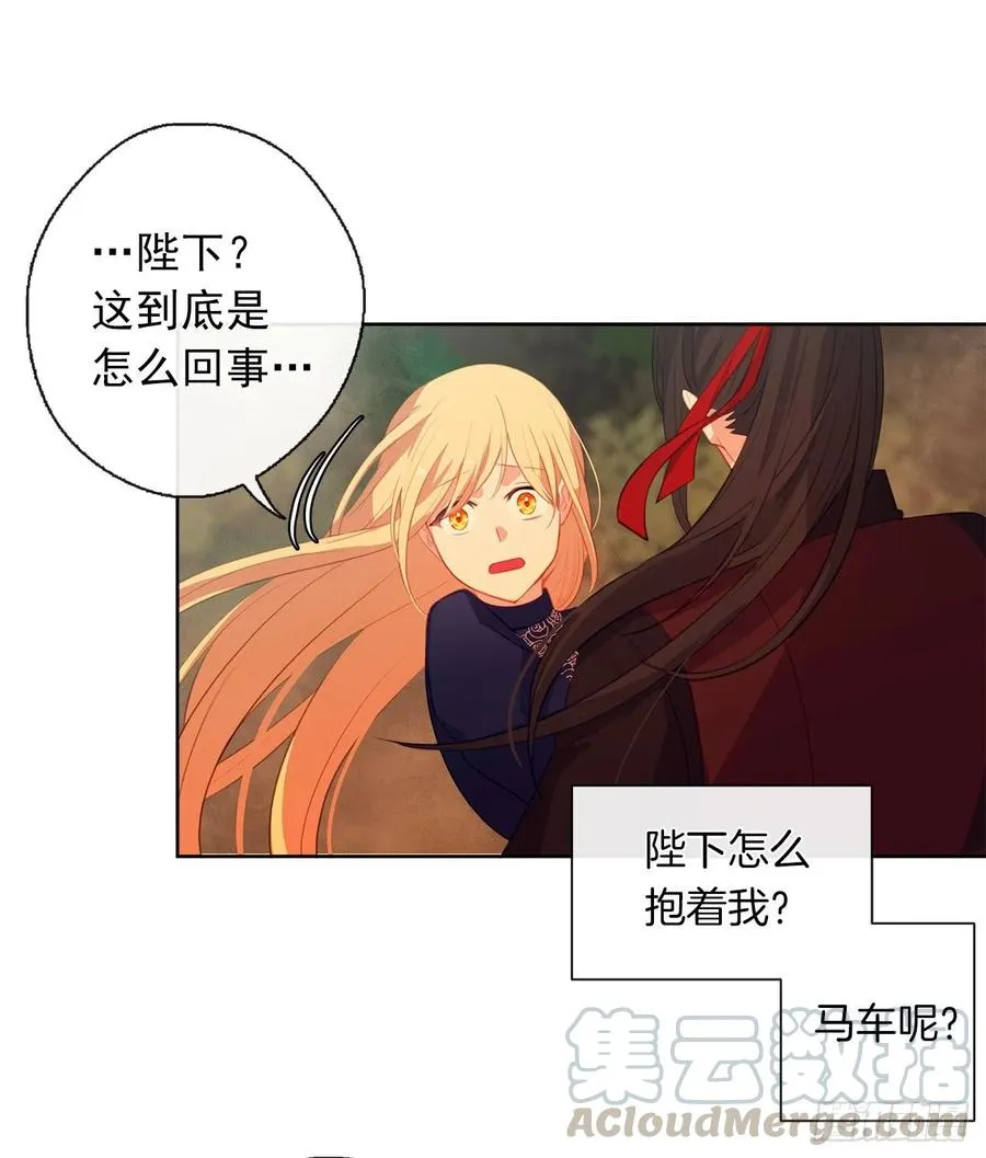 38.怎么能拿圣下当诱饵？ 第13页