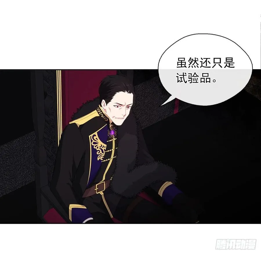 40.杀掉她不如让她沉睡 第36页