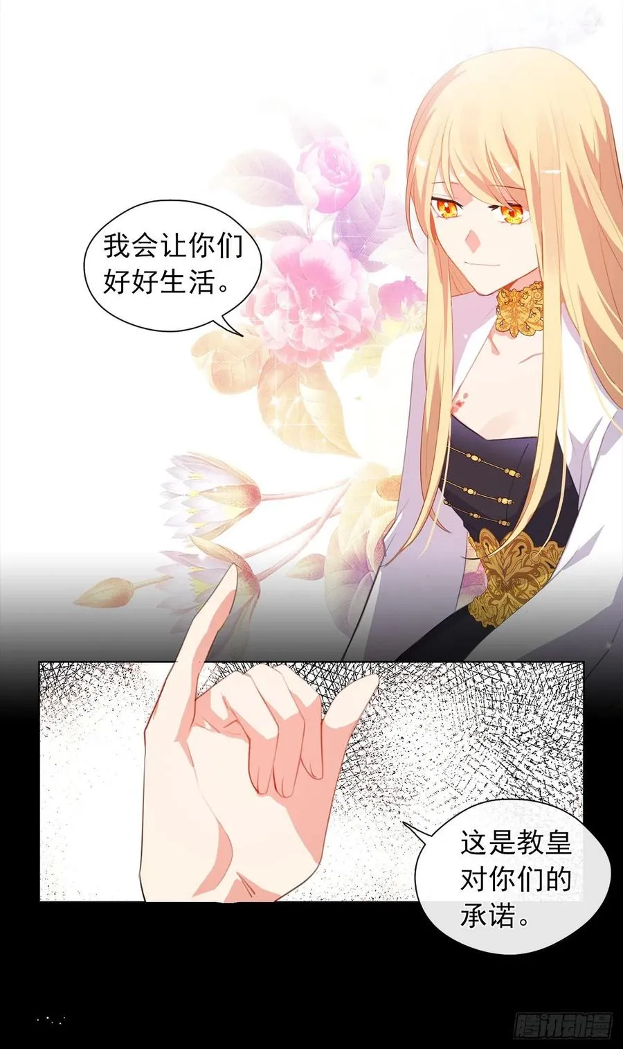 44.教皇的承诺 第30页