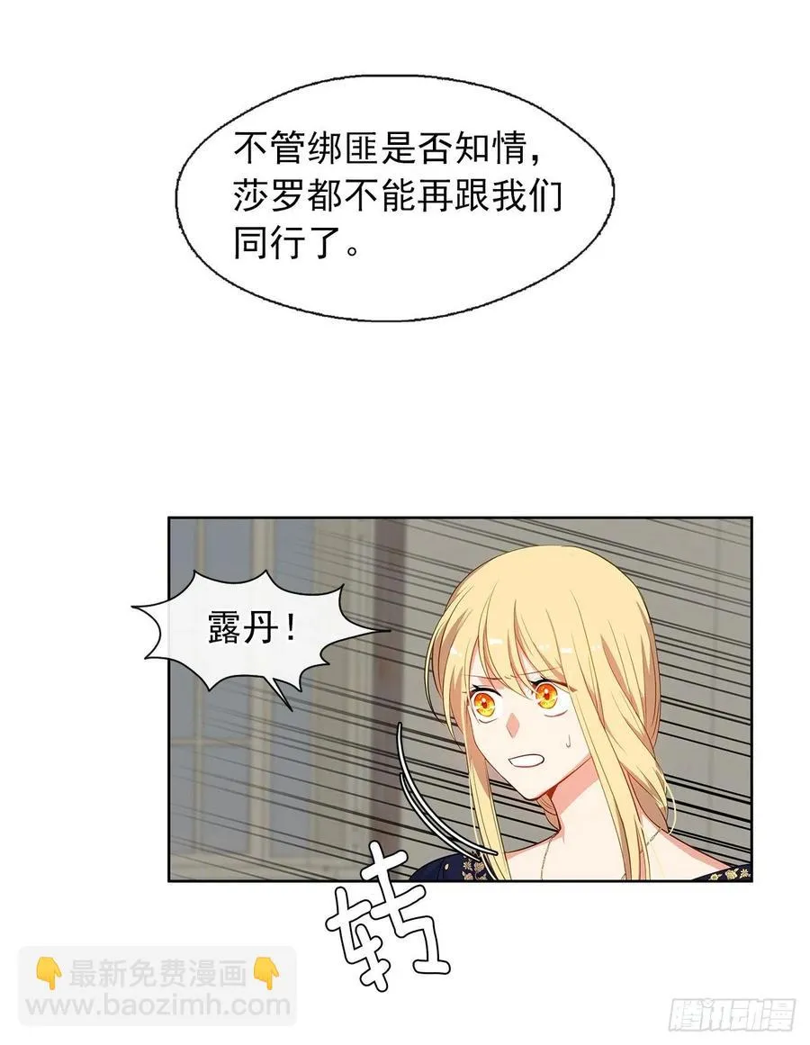 55.双胞胎的真实身份 第28页