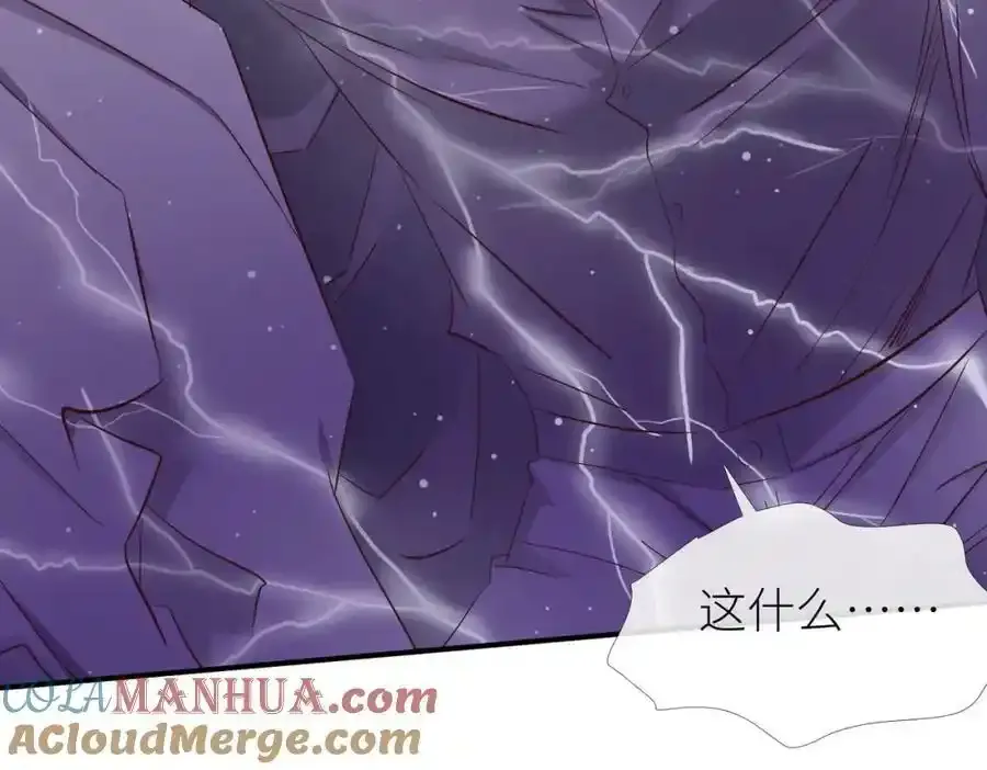 野种 第29页