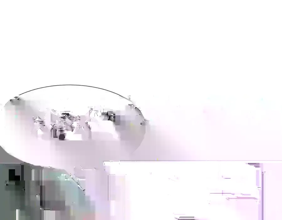 野种 第44页