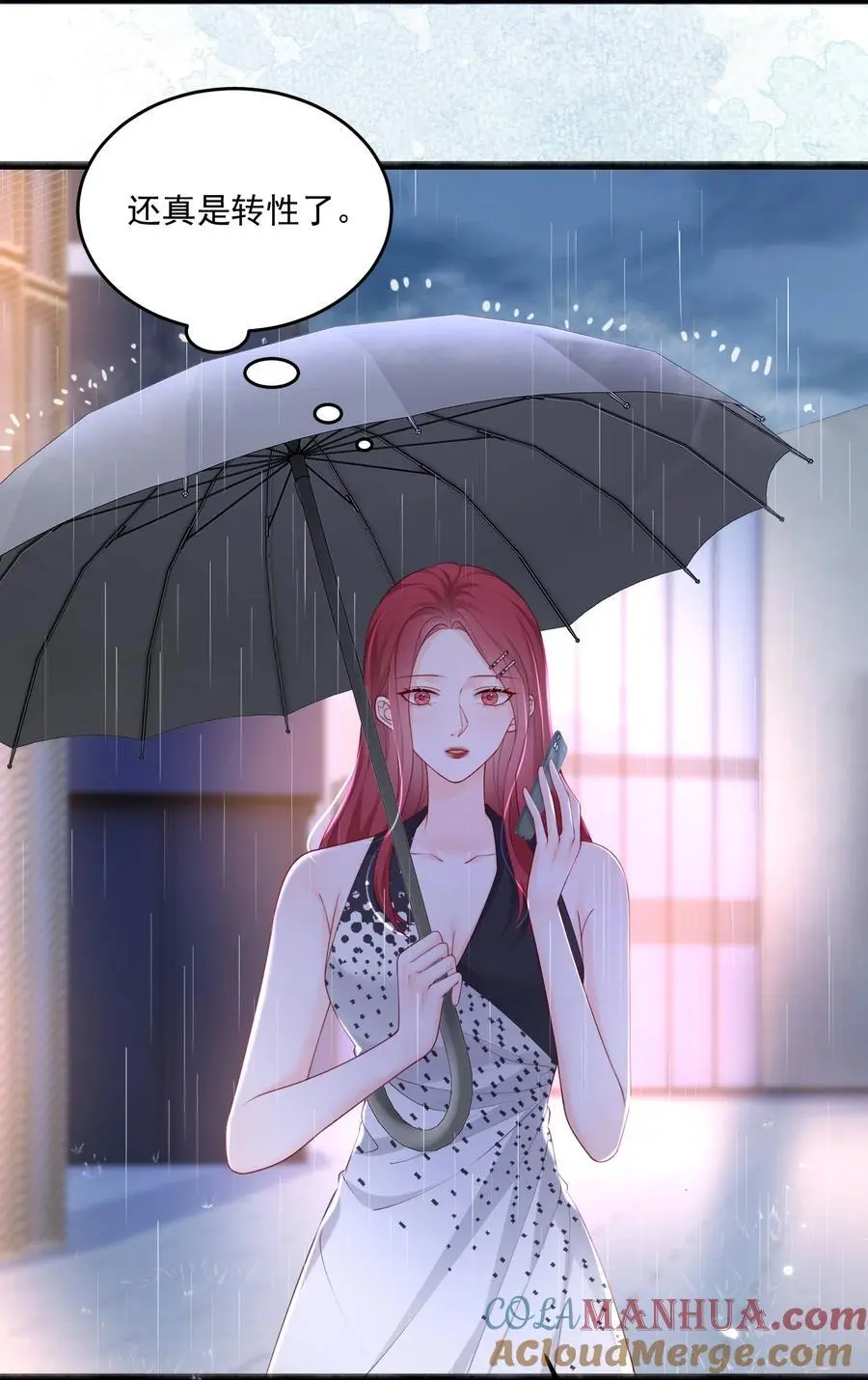 067 被雨淋湿的小狗 第11页