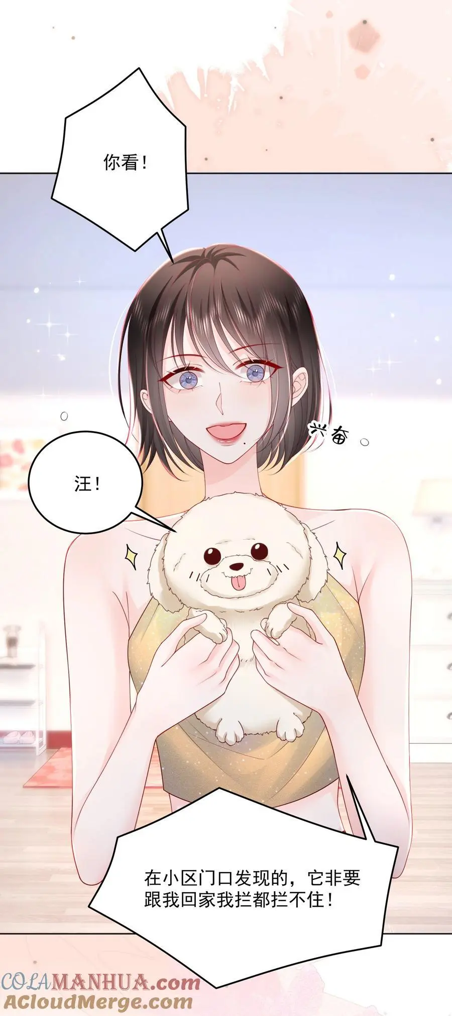 067 被雨淋湿的小狗 第17页
