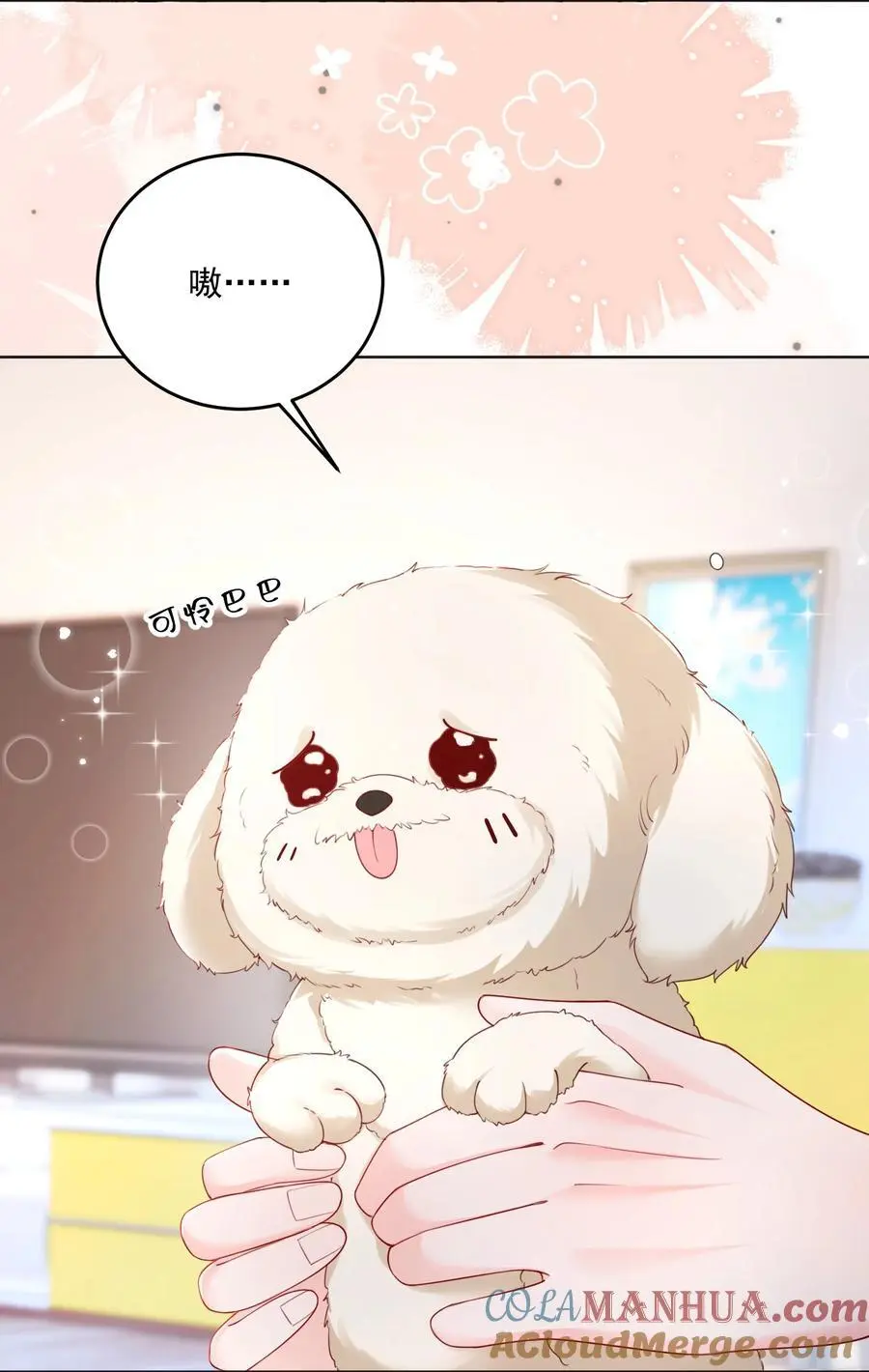 067 被雨淋湿的小狗 第19页
