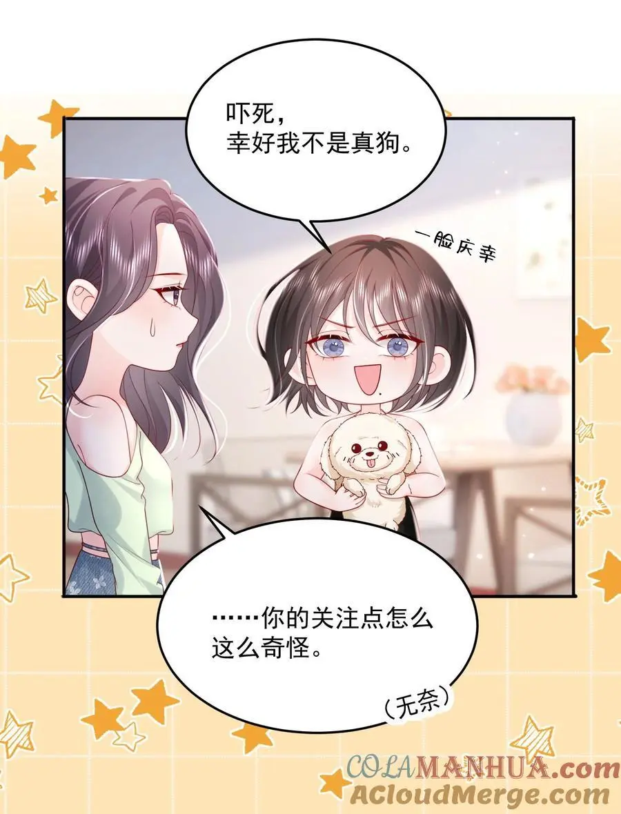 067 被雨淋湿的小狗 第21页