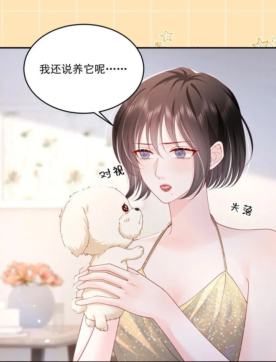 067 被雨淋湿的小狗 第22页