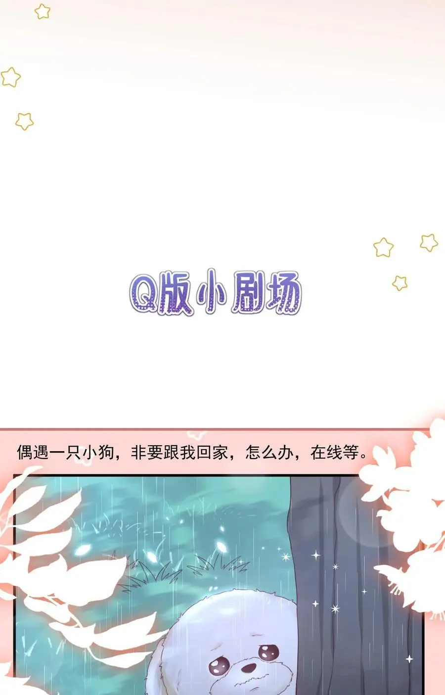 067 被雨淋湿的小狗 第26页