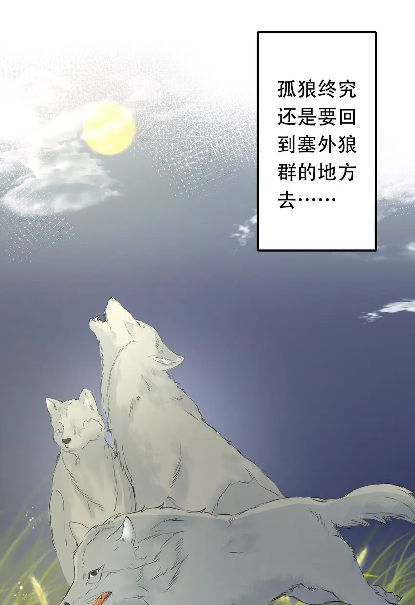 013 摸鱼儿·孤狼 第97页