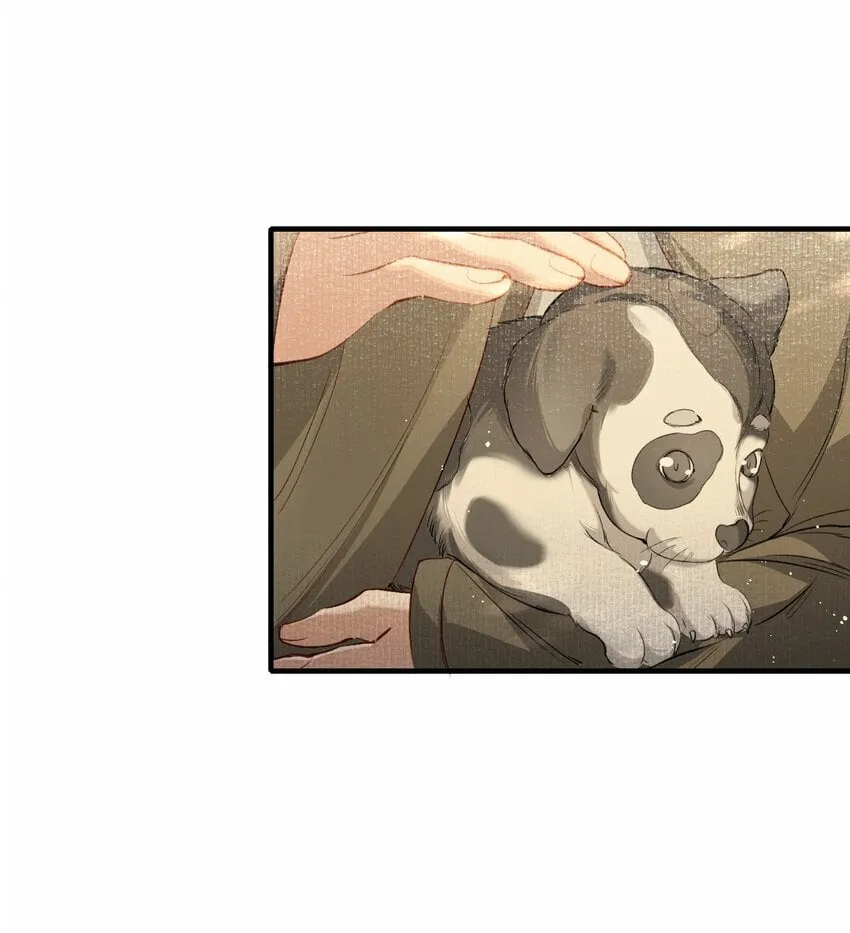 038 蝶恋花·小黑 第28页