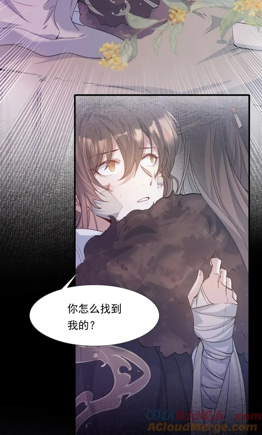 116 满江红·相依偎 第3页