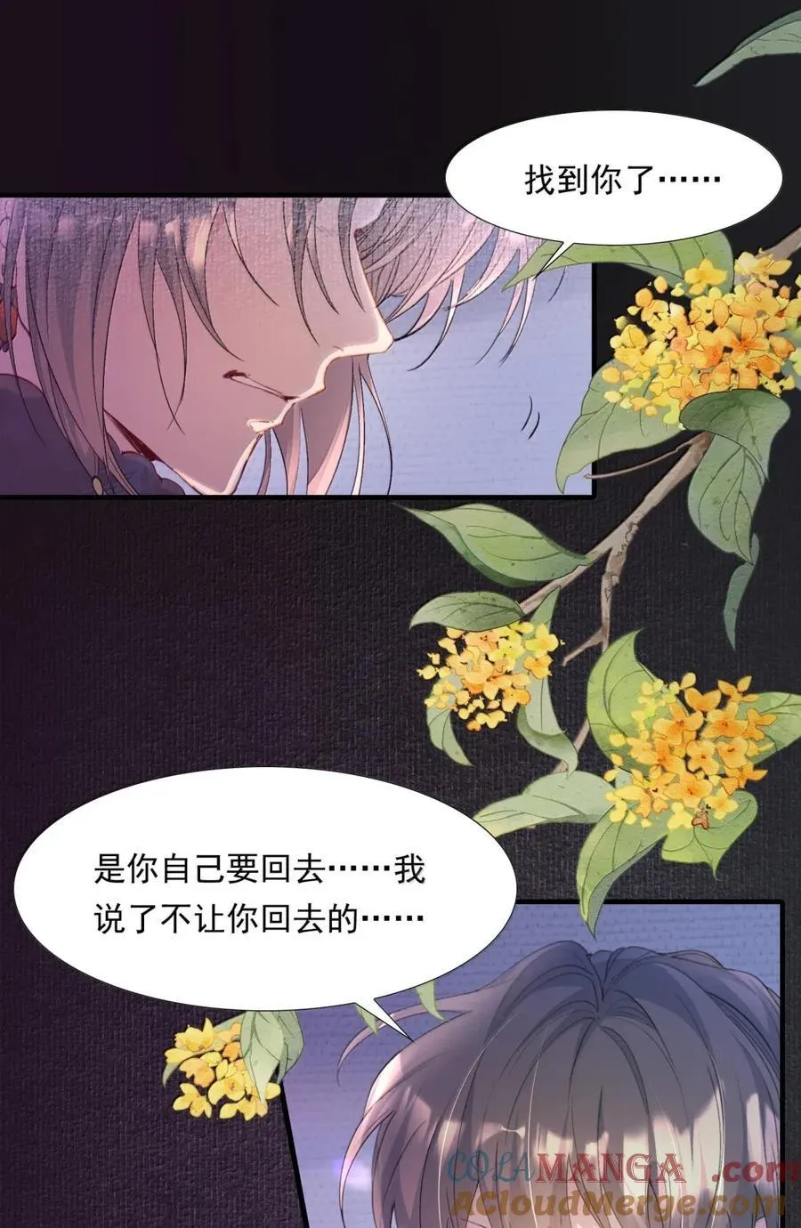 116 满江红·相依偎 第11页
