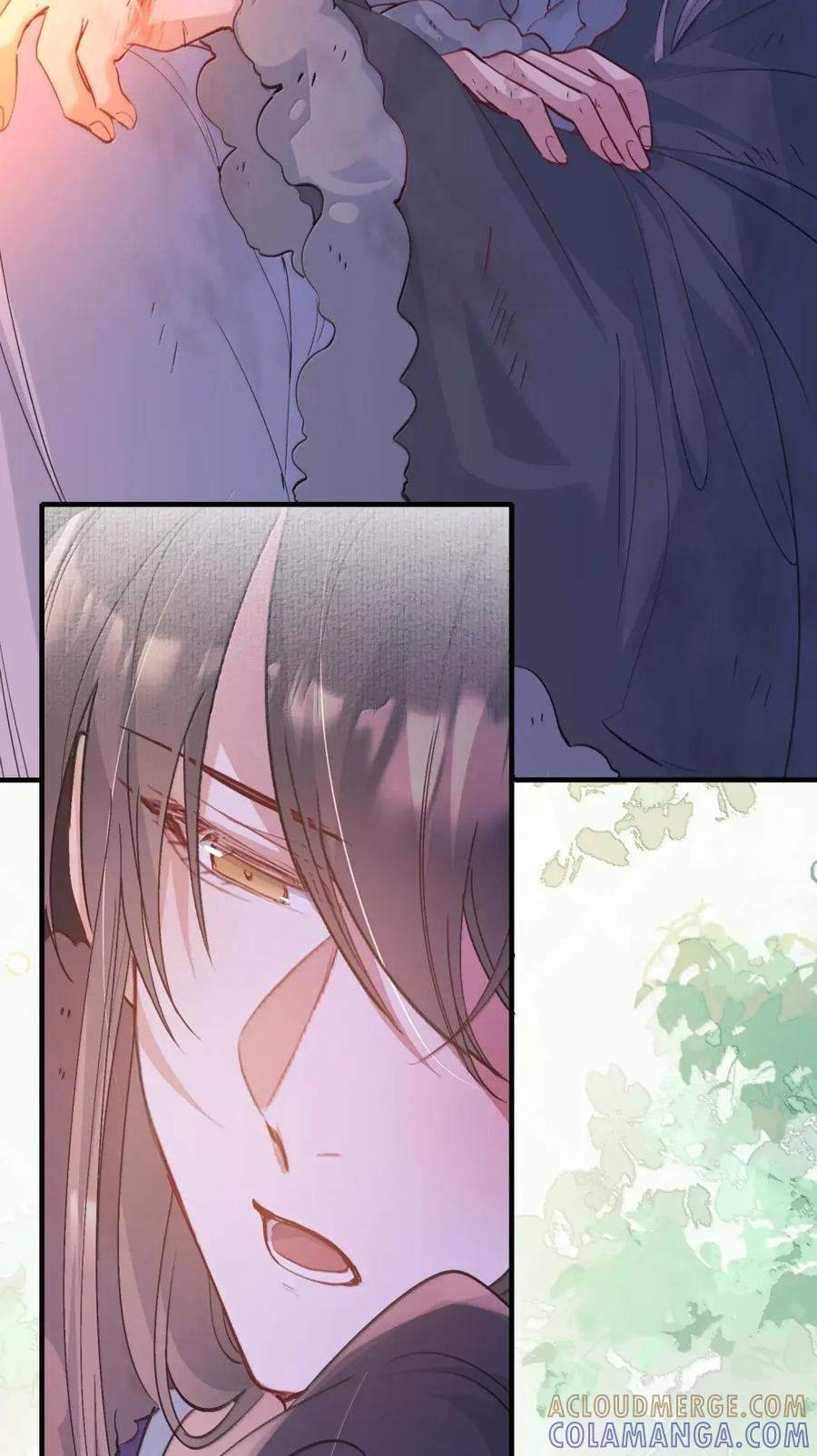 131 满江红·蓝关别离 第22页
