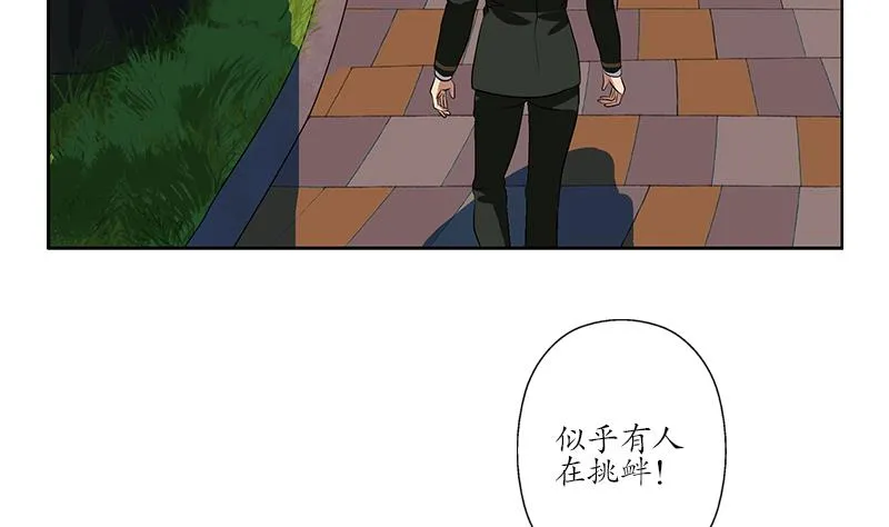 第244话 卧虎堂的挑衅 第23页