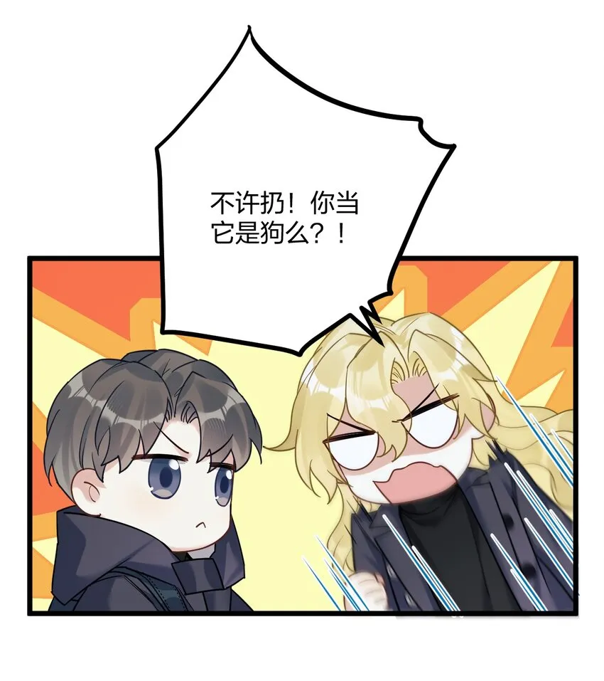 25 是龙是狗？ 第21页
