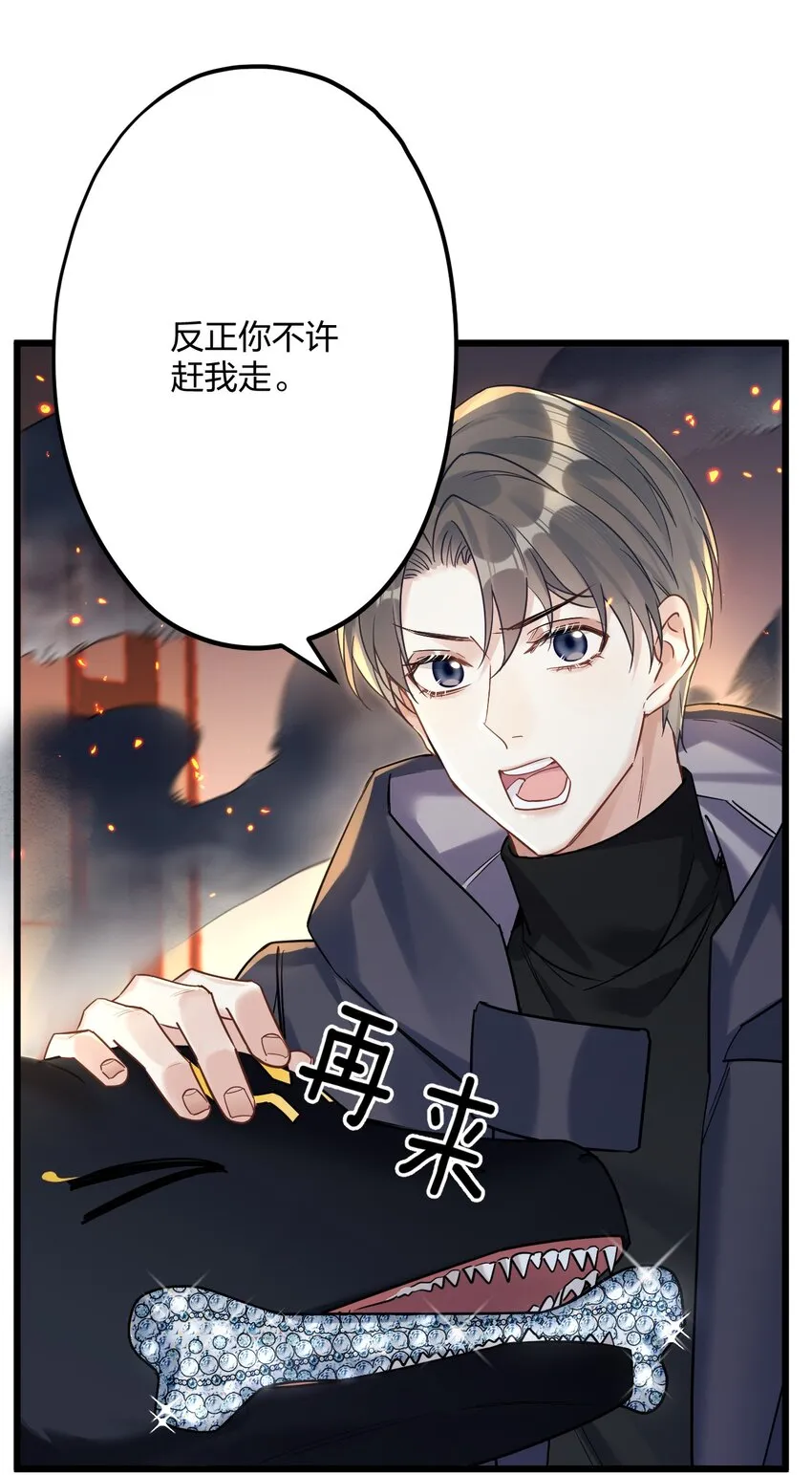 25 是龙是狗？ 第23页